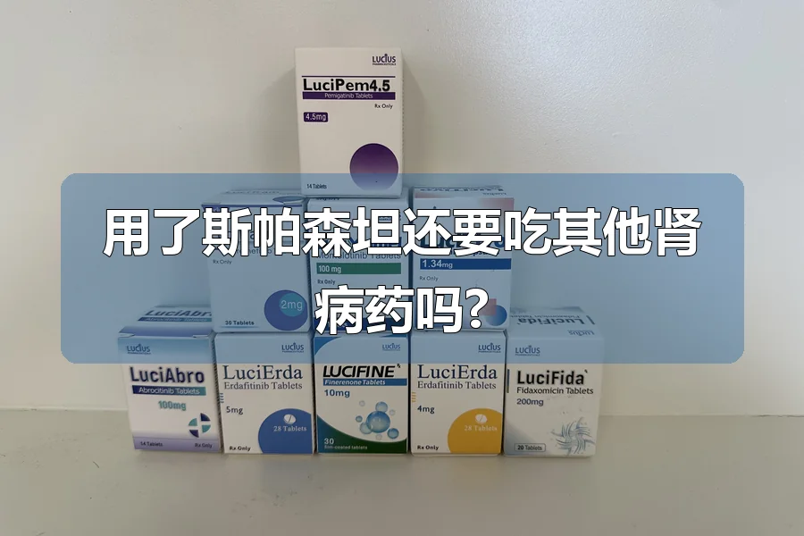 用了斯帕森坦还要吃其他肾病药吗?
